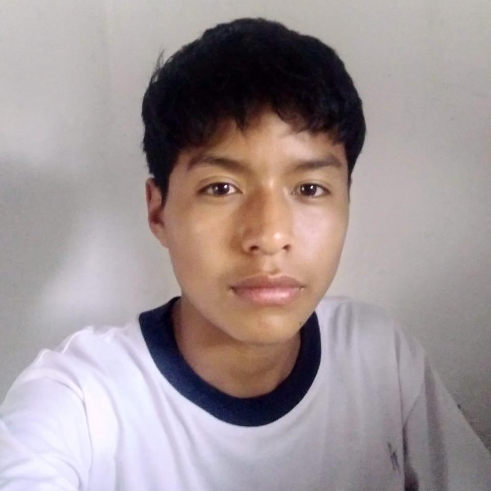 User Image