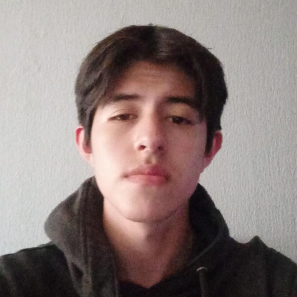User Image